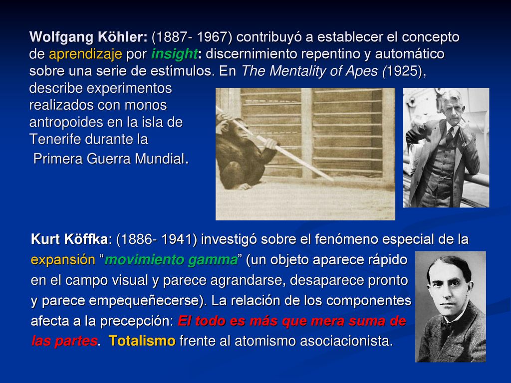 Wolfgang Köhler: ( ) contribuyó a establecer el concepto de aprendizaje por insight: discernimiento repentino y automático sobre una serie de estímulos. En The Mentality of Apes (1925), describe experimentos realizados con monos antropoides en la isla de Tenerife durante la Primera Guerra Mundial.