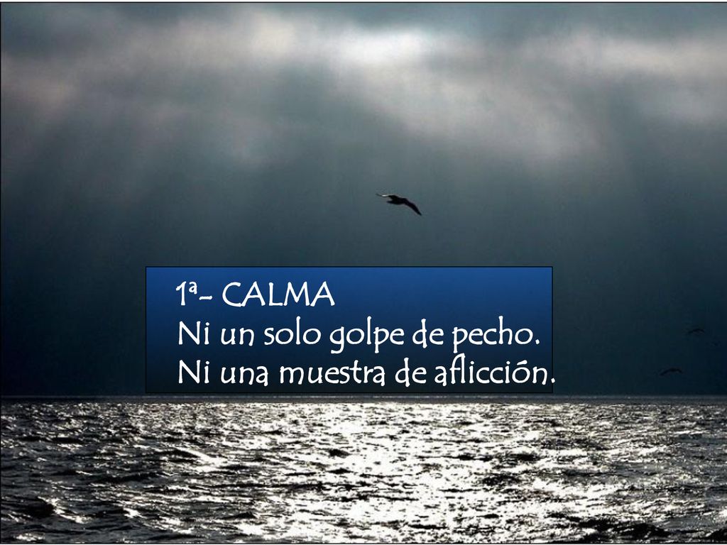 1ª- CALMA Ni un solo golpe de pecho. Ni una muestra de aflicción.
