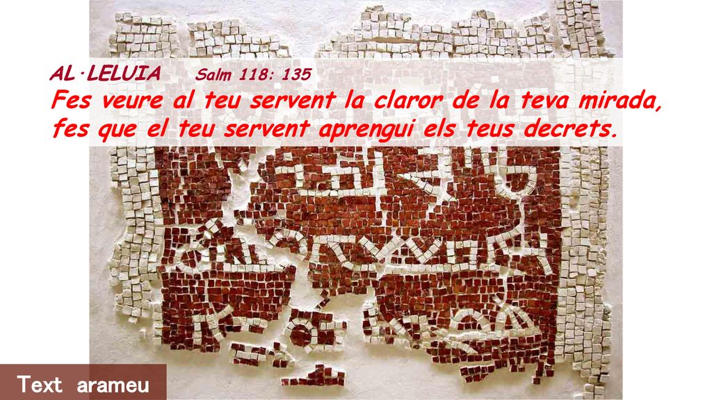 Fes veure al teu servent la claror de la teva mirada,