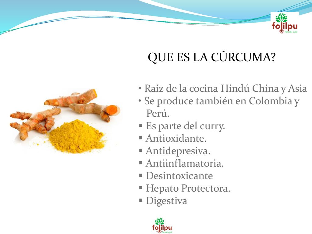 QUE ES LA CÚRCUMA Raíz de la cocina Hindú China y Asia
