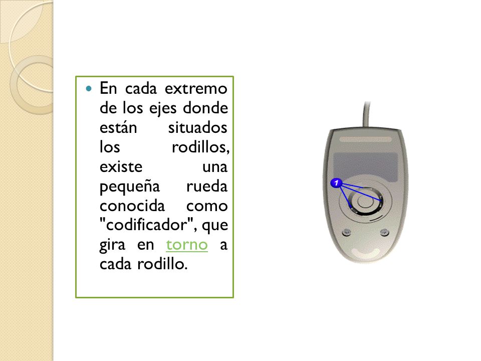 En cada extremo de los ejes donde están situados los rodillos, existe una pequeña rueda conocida como codificador , que gira en torno a cada rodillo.