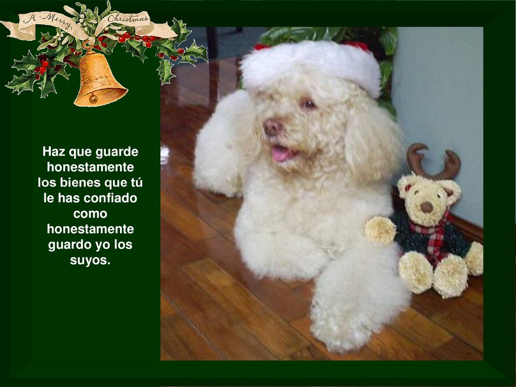 Haz que guarde honestamente los bienes que tú le has confiado como honestamente guardo yo los suyos.