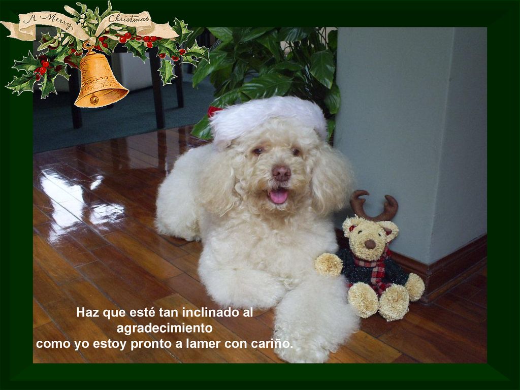 Haz que esté tan inclinado al agradecimiento como yo estoy pronto a lamer con cariño.
