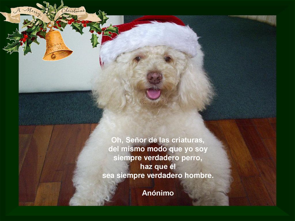 Oh, Señor de las criaturas, del mismo modo que yo soy siempre verdadero perro, haz que él sea siempre verdadero hombre.