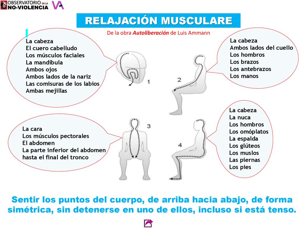 RELAJACIÓN MUSCULARE La cabeza. El cuero cabelludo. Los músculos faciales. La mandíbula. Ambos ojos.