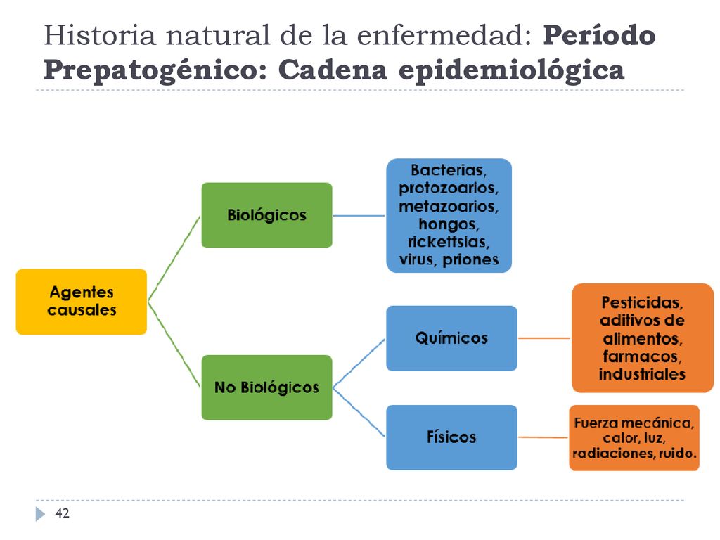 Historia natural de la enfermedad: Período Prepatogénico: Cadena epidemiológica