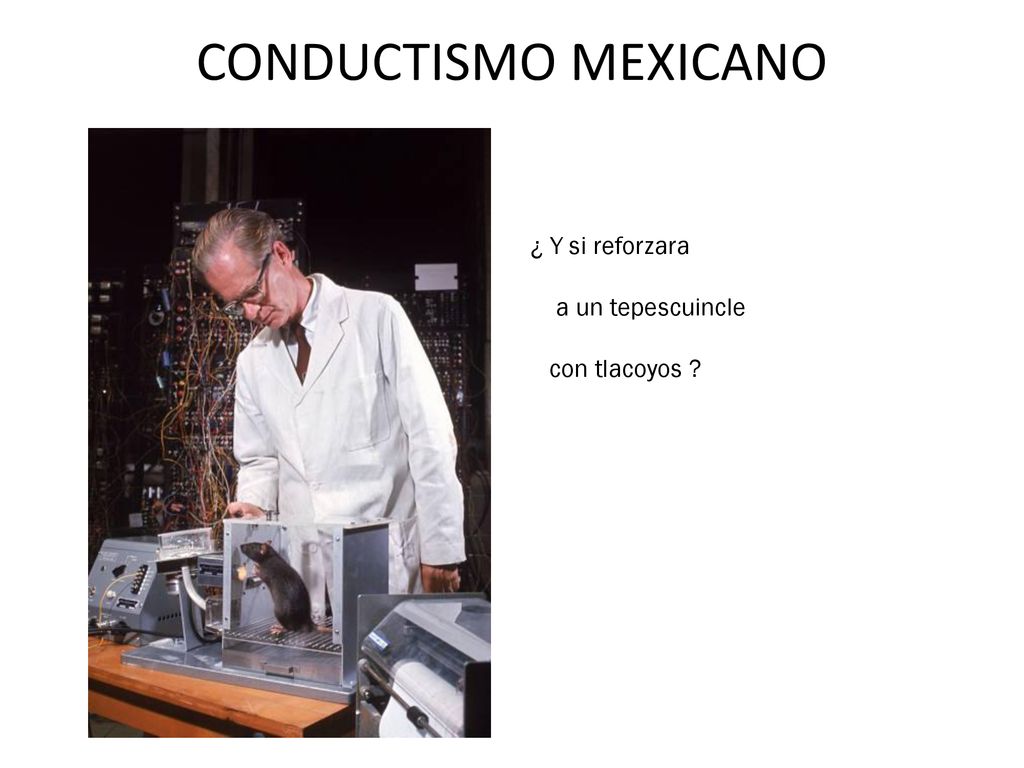 CONDUCTISMO MEXICANO ¿ Y si reforzara a un tepescuincle con tlacoyos