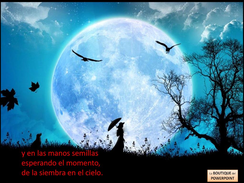 y en las manos semillas esperando el momento, de la siembra en el cielo.