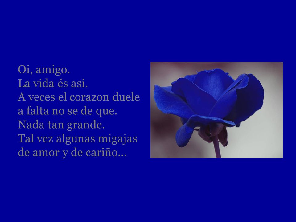 Oi, amigo. La vida és asi. A veces el corazon duele a falta no se de que.