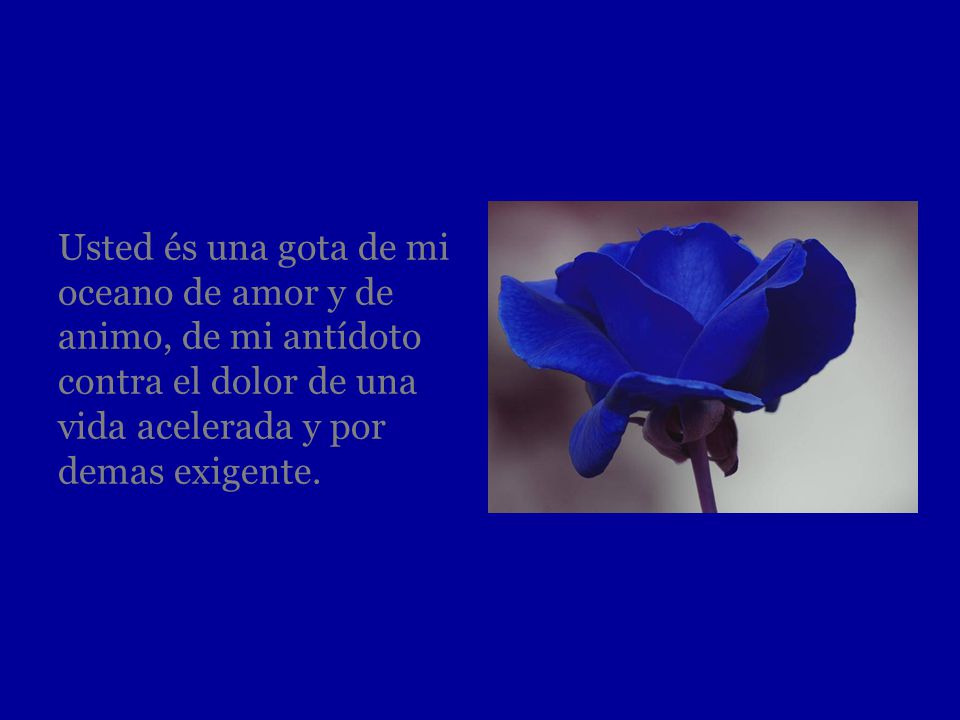 Usted és una gota de mi oceano de amor y de animo, de mi antídoto contra el dolor de una vida acelerada y por demas exigente.