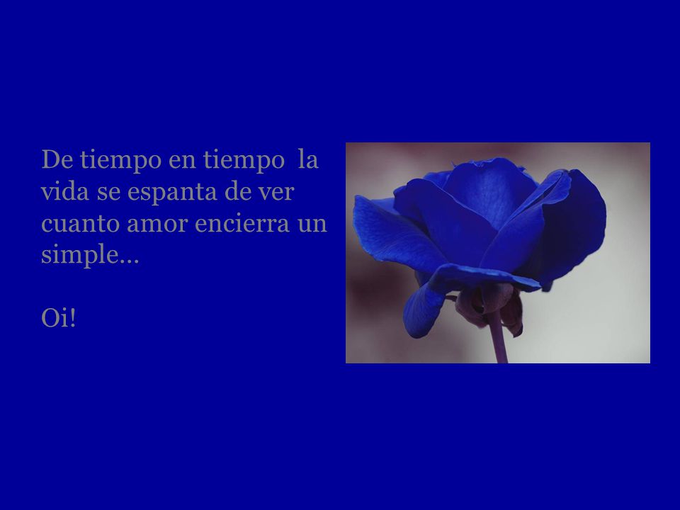 De tiempo en tiempo la vida se espanta de ver cuanto amor encierra un simple... Oi!
