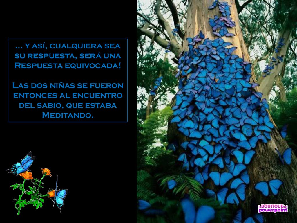 … y así, cualquiera sea su respuesta, será una Respuesta equivocada!