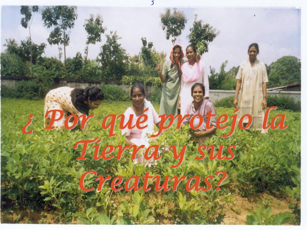 ¿ Por qué protejo la Tierra y sus Creaturas