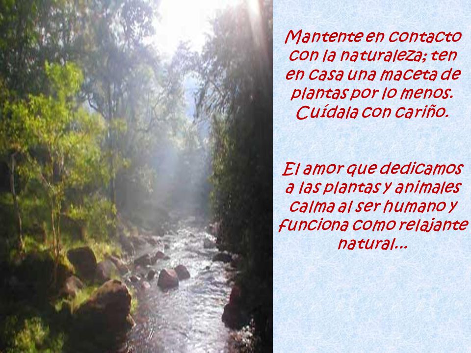 Mantente en contacto con la naturaleza; ten en casa una maceta de plantas por lo menos. Cuídala con cariño.