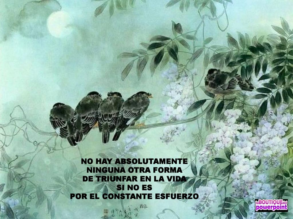NO HAY ABSOLUTAMENTE NINGUNA OTRA FORMA POR EL CONSTANTE ESFUERZO
