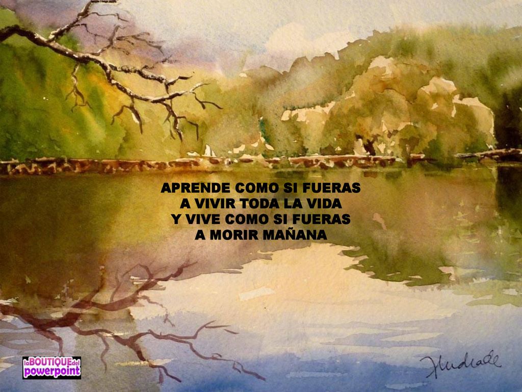 APRENDE COMO SI FUERAS A VIVIR TODA LA VIDA Y VIVE COMO SI FUERAS A MORIR MAÑANA