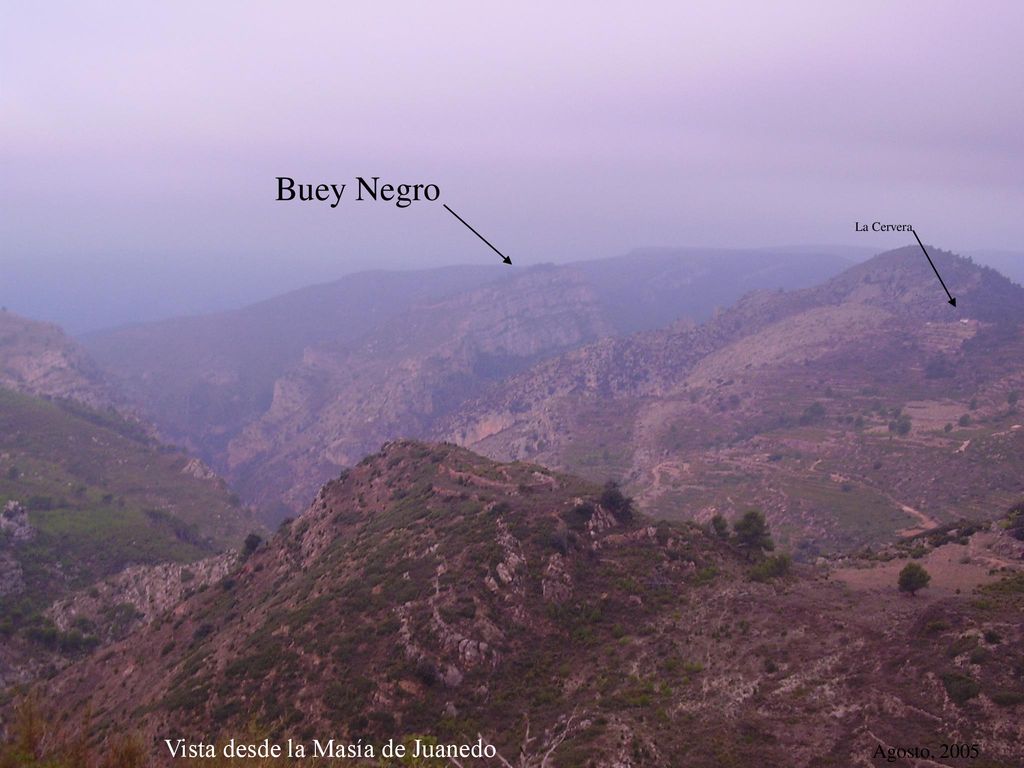 Buey Negro La Cervera Vista desde la Masía de Juanedo Agosto, 2005