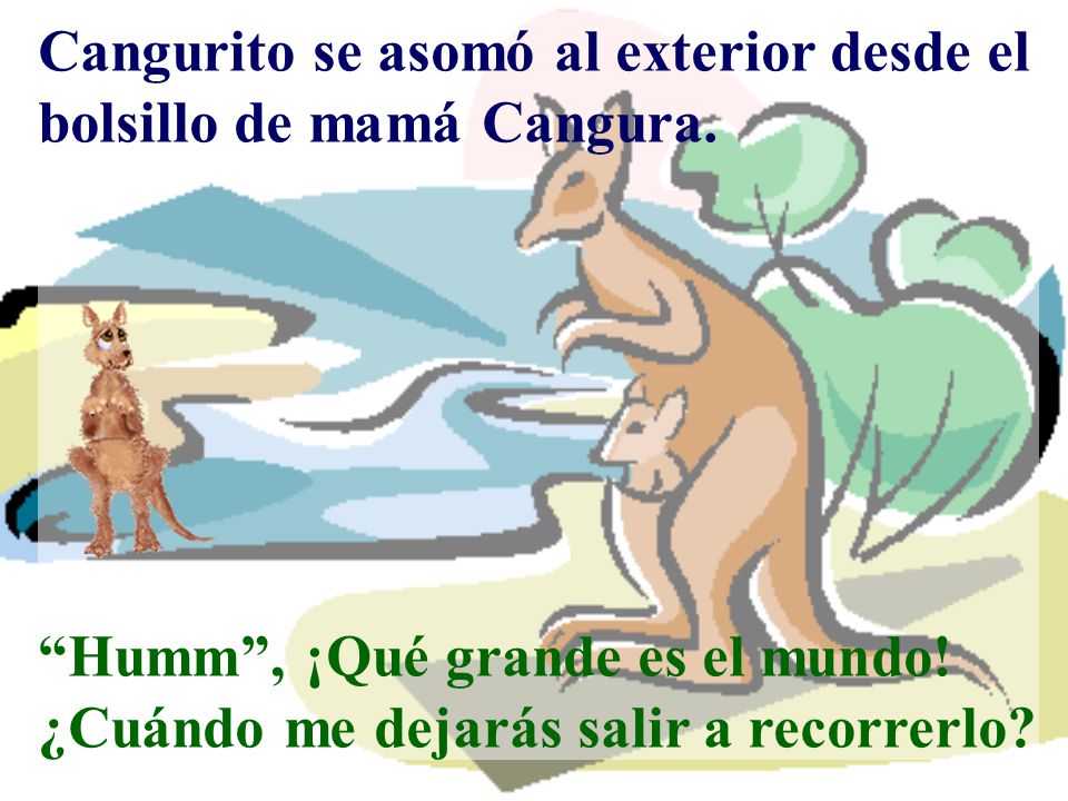 Cangurito se asomó al exterior desde el bolsillo de mamá Cangura.