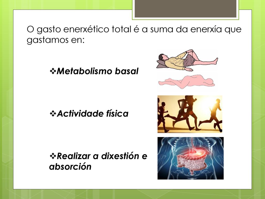 O gasto enerxético total é a suma da enerxía que gastamos en:
