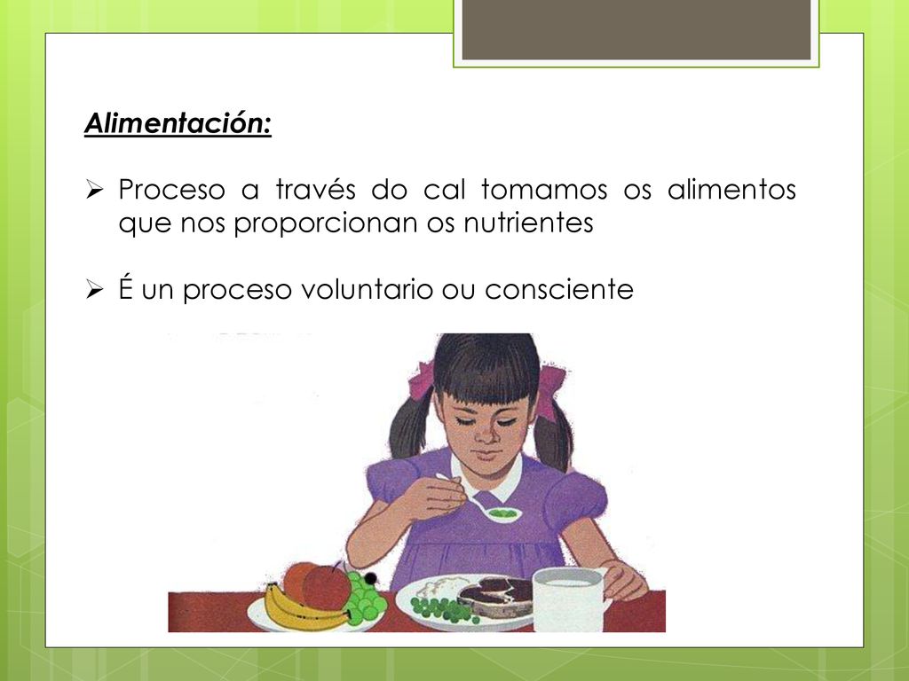 Alimentación: Proceso a través do cal tomamos os alimentos que nos proporcionan os nutrientes.
