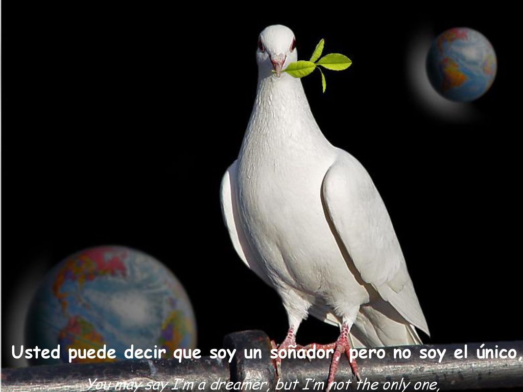 Usted puede decir que soy un soñador, pero no soy el único,
