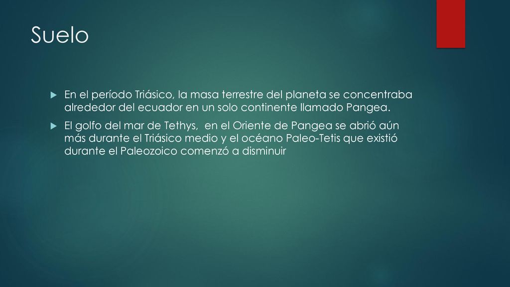 Suelo En el período Triásico, la masa terrestre del planeta se concentraba alrededor del ecuador en un solo continente llamado Pangea.
