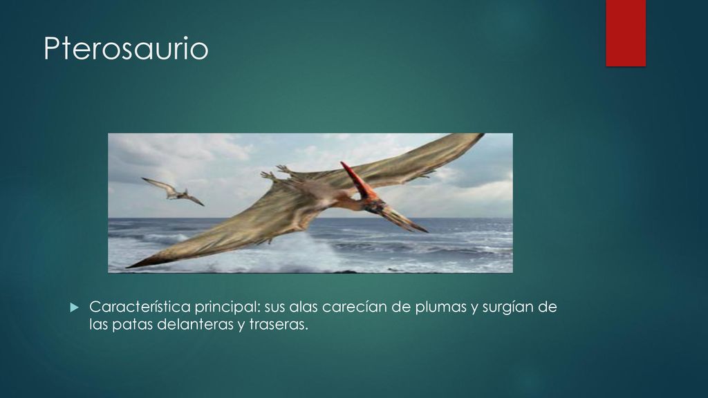 Pterosaurio Característica principal: sus alas carecían de plumas y surgían de las patas delanteras y traseras.