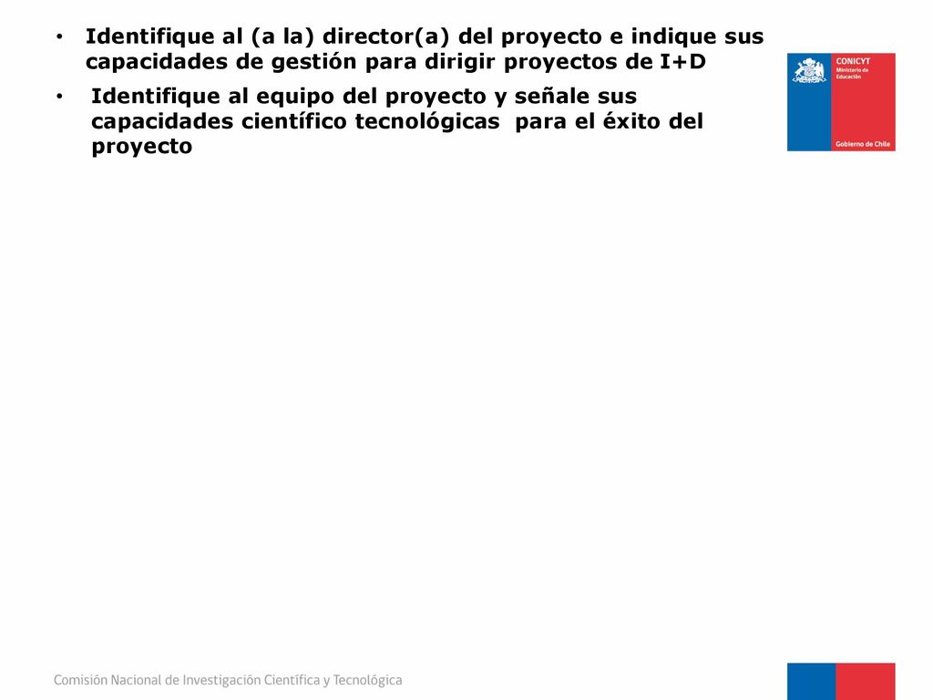 Identifique al (a la) director(a) del proyecto e indique sus capacidades de gestión para dirigir proyectos de I+D