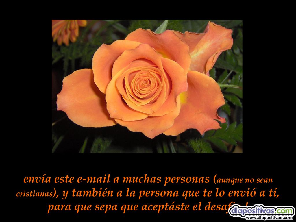 envía este  a muchas personas (aunque no sean cristianas), y también a la persona que te lo envió a tí, para que sepa que aceptáste el desafio !