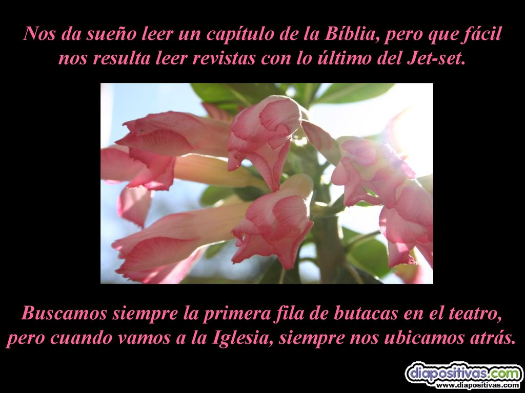 Nos da sueño leer un capítulo de la Bíblia, pero que fácil nos resulta leer revistas con lo último del Jet-set.