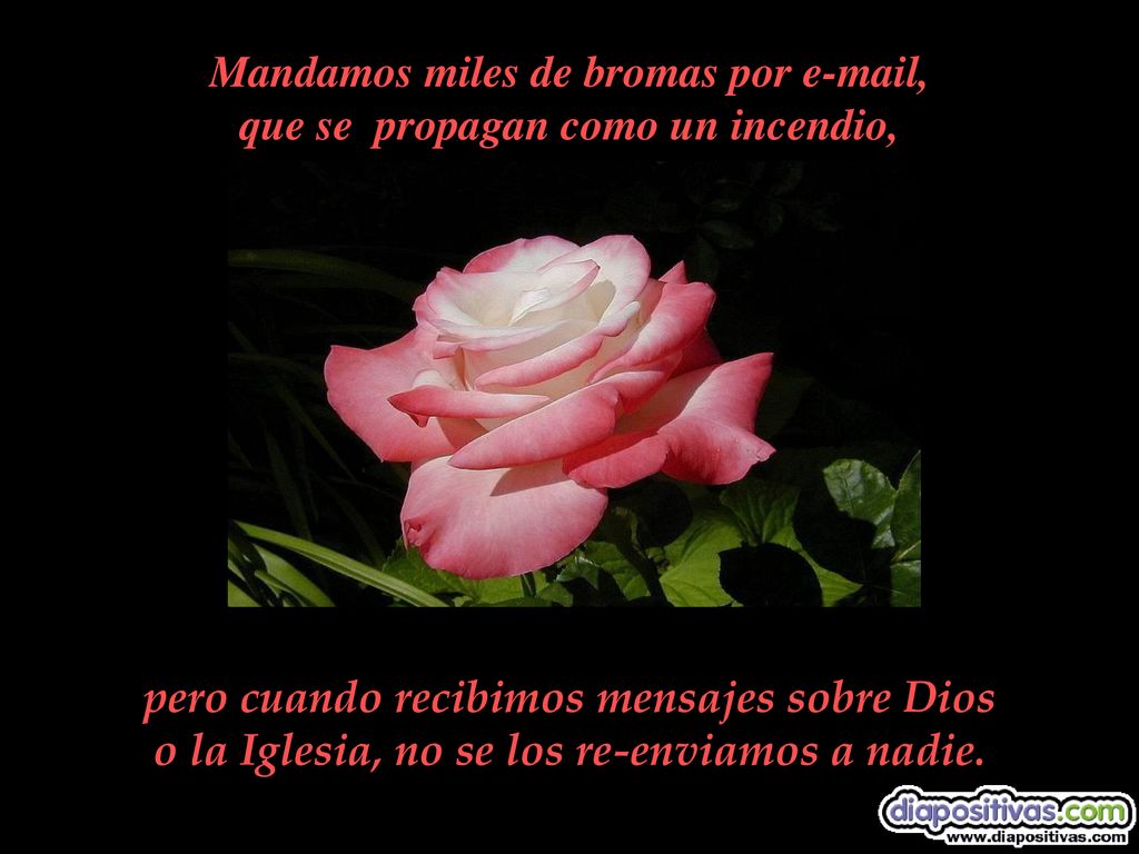 Mandamos miles de bromas por  , que se propagan como un incendio,