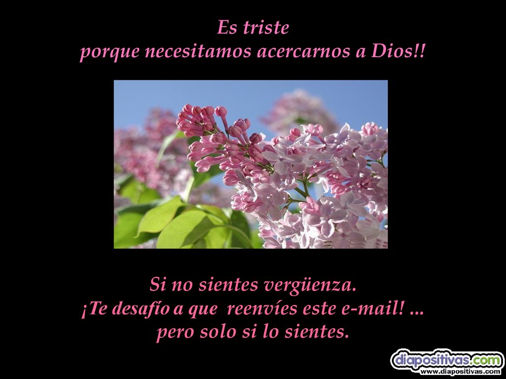 porque necesitamos acercarnos a Dios!! Si no sientes vergüenza.