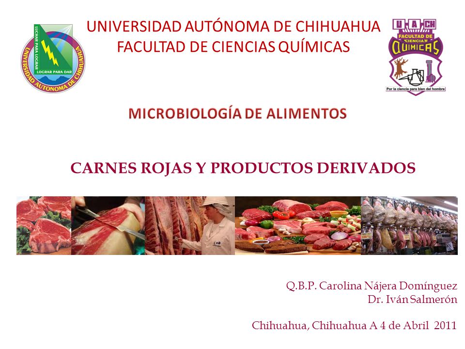 CARNES ROJAS Y PRODUCTOS DERIVADOS