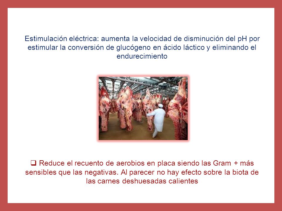 Estimulación eléctrica: aumenta la velocidad de disminución del pH por estimular la conversión de glucógeno en ácido láctico y eliminando el endurecimiento