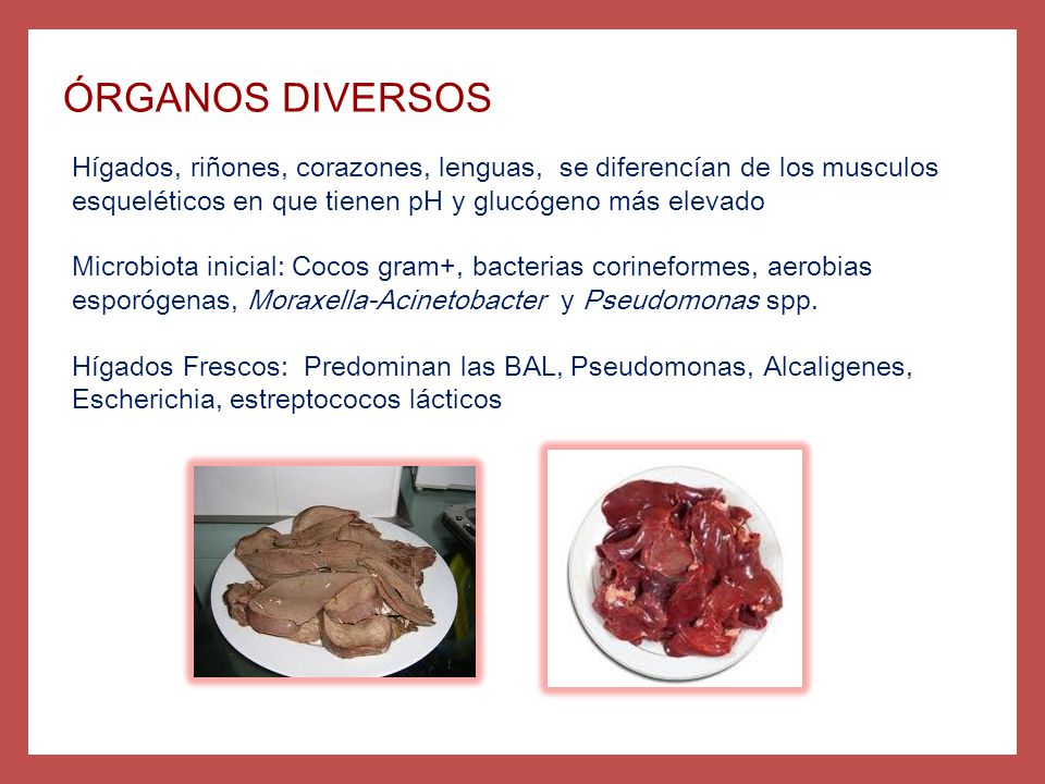 ÓRGANOS DIVERSOS Hígados, riñones, corazones, lenguas, se diferencían de los musculos esqueléticos en que tienen pH y glucógeno más elevado.