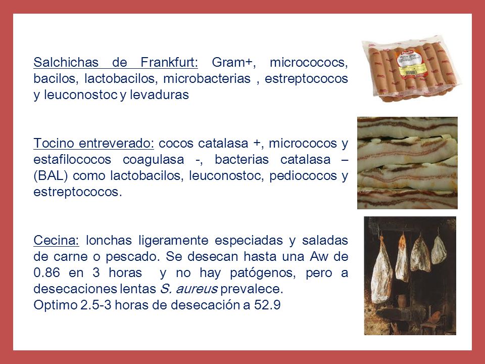 Salchichas de Frankfurt: Gram+, microcococs, bacilos, lactobacilos, microbacterias , estreptococos y leuconostoc y levaduras