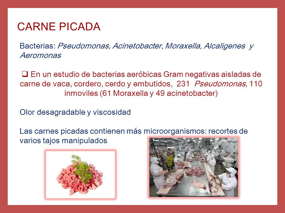 CARNE PICADA Bacterias: Pseudomonas, Acinetobacter, Moraxella, Alcaligenes y Aeromonas.