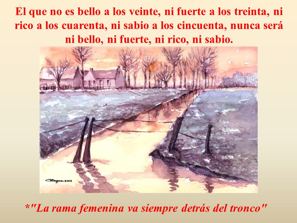 El que no es bello a los veinte, ni fuerte a los treinta, ni rico a los cuarenta, ni sabio a los cincuenta, nunca será ni bello, ni fuerte, ni rico, ni sabio.