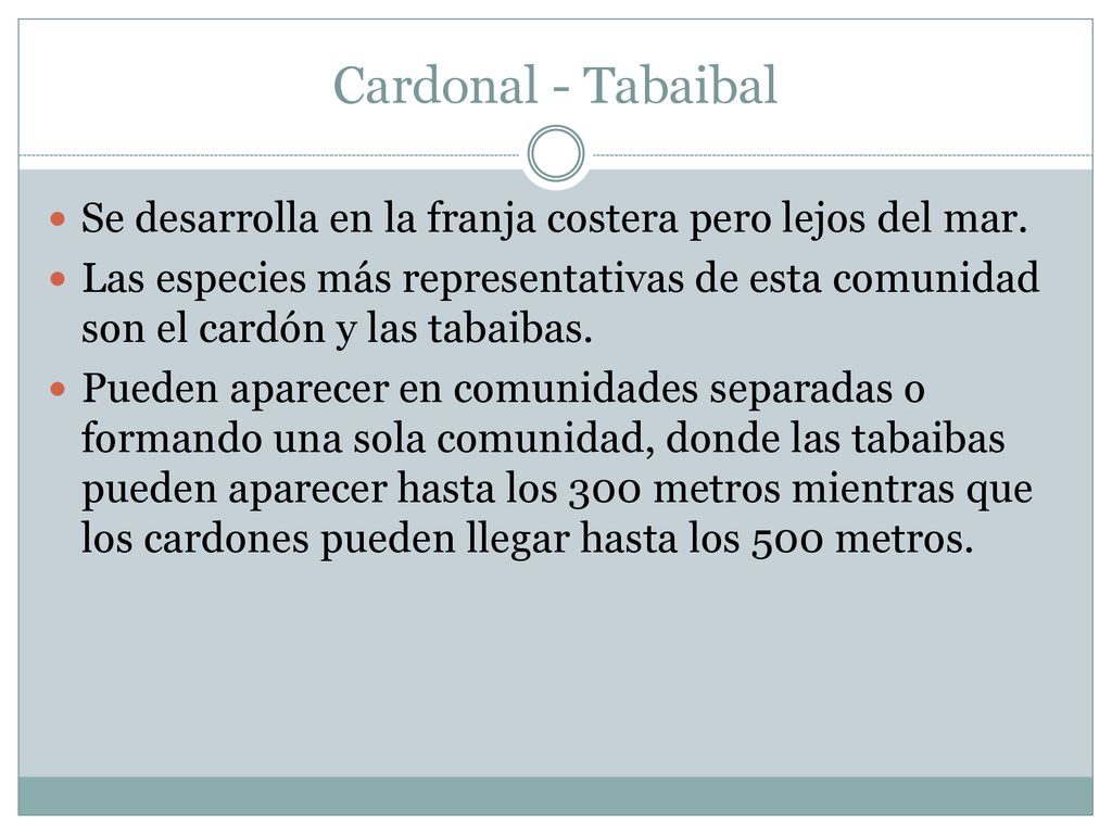 Cardonal - Tabaibal Se desarrolla en la franja costera pero lejos del mar.