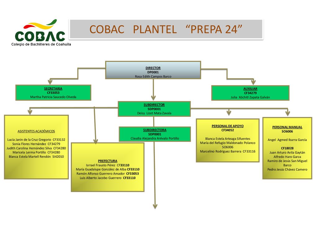 COBAC PLANTEL PREPA 24 DIRECTOR DP0001 Rosa Edith Campos Barco
