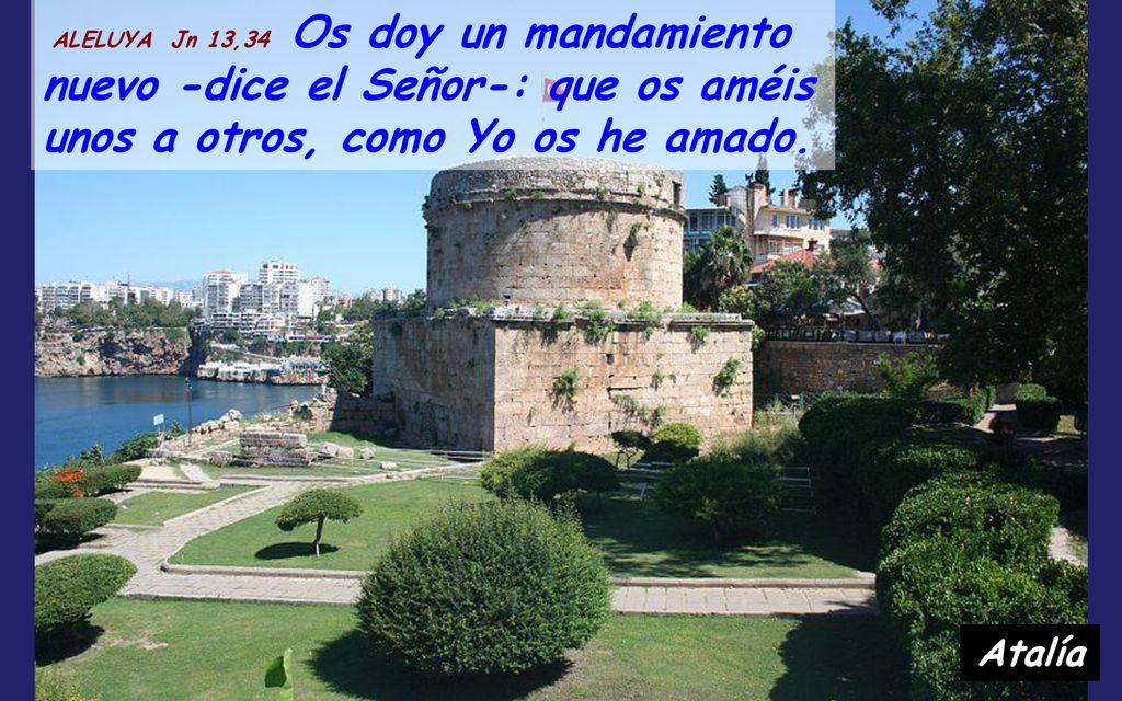 ALELUYA Jn 13,34 Os doy un mandamiento nuevo -dice el Señor-: que os améis unos a otros, como Yo os he amado.