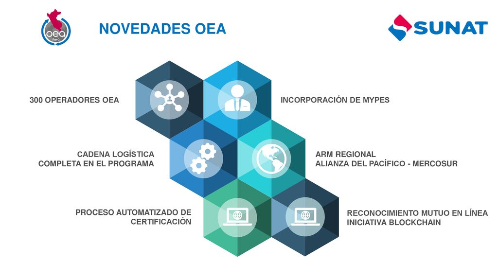 NOVEDADES OEA 300 OPERADORES OEA INCORPORACIÓN DE MYPES