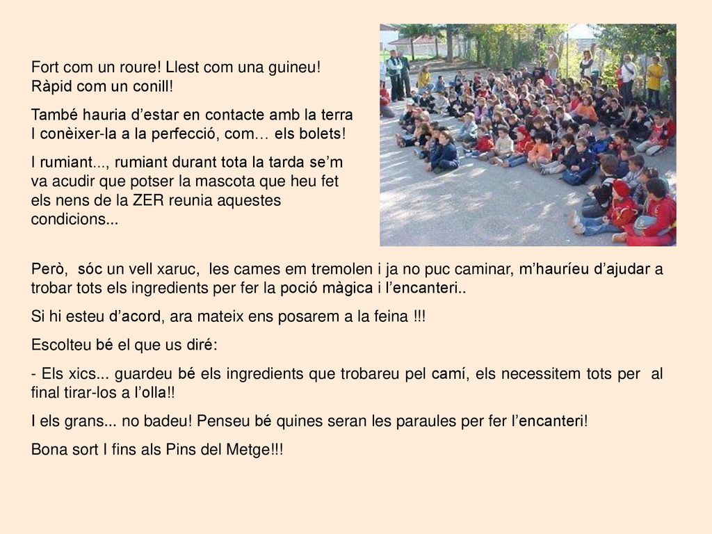 Fort com un roure! Llest com una guineu! Ràpid com un conill!