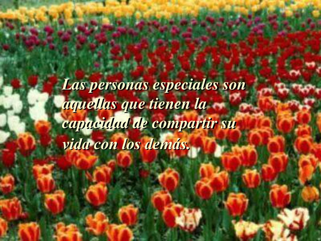 Las personas especiales son aquellas que tienen la capacidad de compartir su vida con los demás.