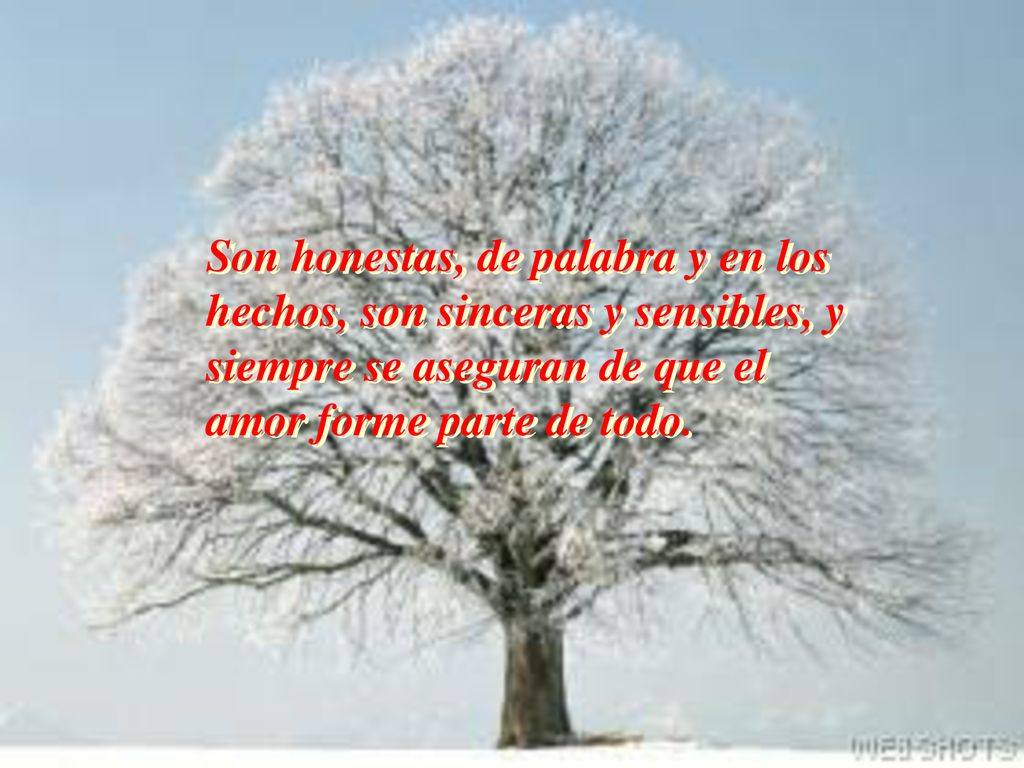 Son honestas, de palabra y en los hechos, son sinceras y sensibles, y siempre se aseguran de que el amor forme parte de todo.
