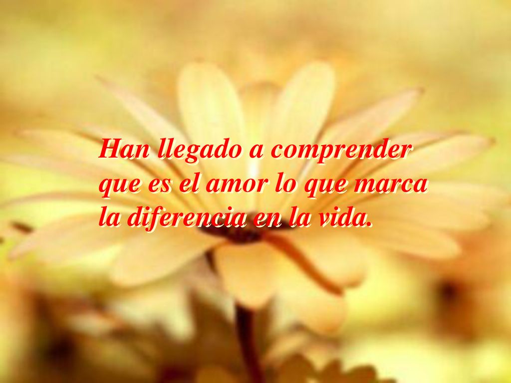 Han llegado a comprender que es el amor lo que marca la diferencia en la vida.