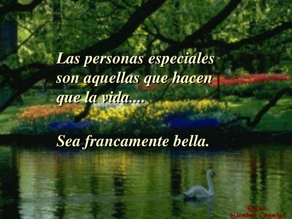 Las personas especiales son aquellas que hacen que la vida....