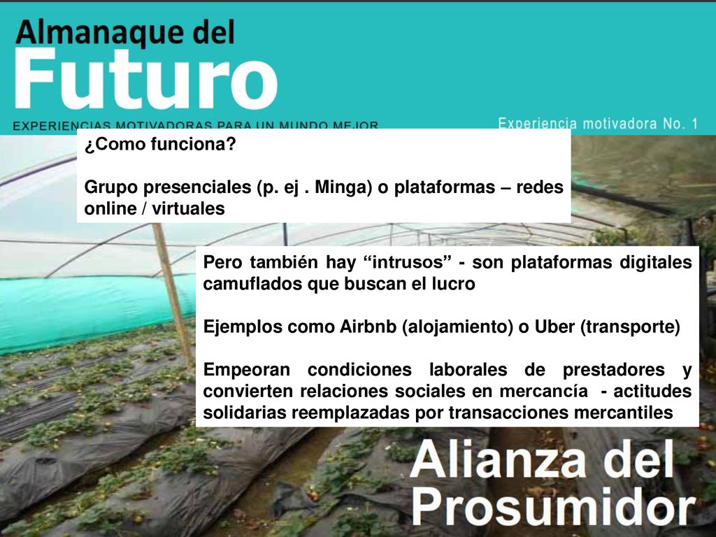 ¿Como funciona Grupo presenciales (p. ej . Minga) o plataformas – redes online / virtuales.