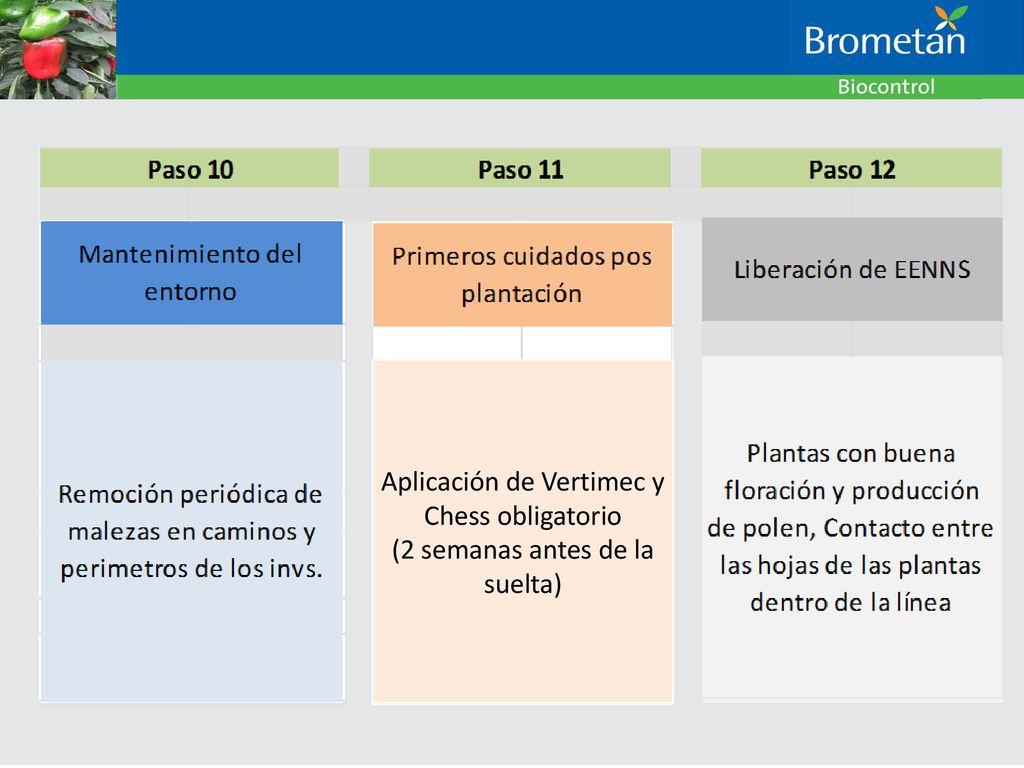 Aplicación de Vertimec y Chess obligatorio (2 semanas antes de la suelta)
