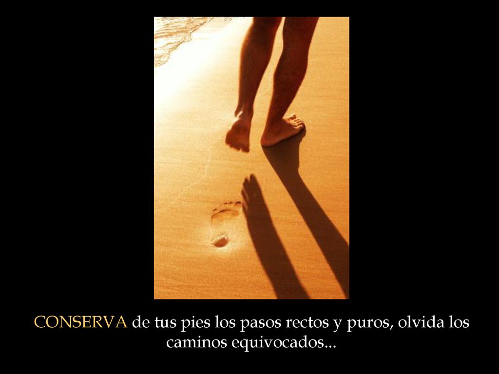 CONSERVA de tus pies los pasos rectos y puros, olvida los caminos equivocados...